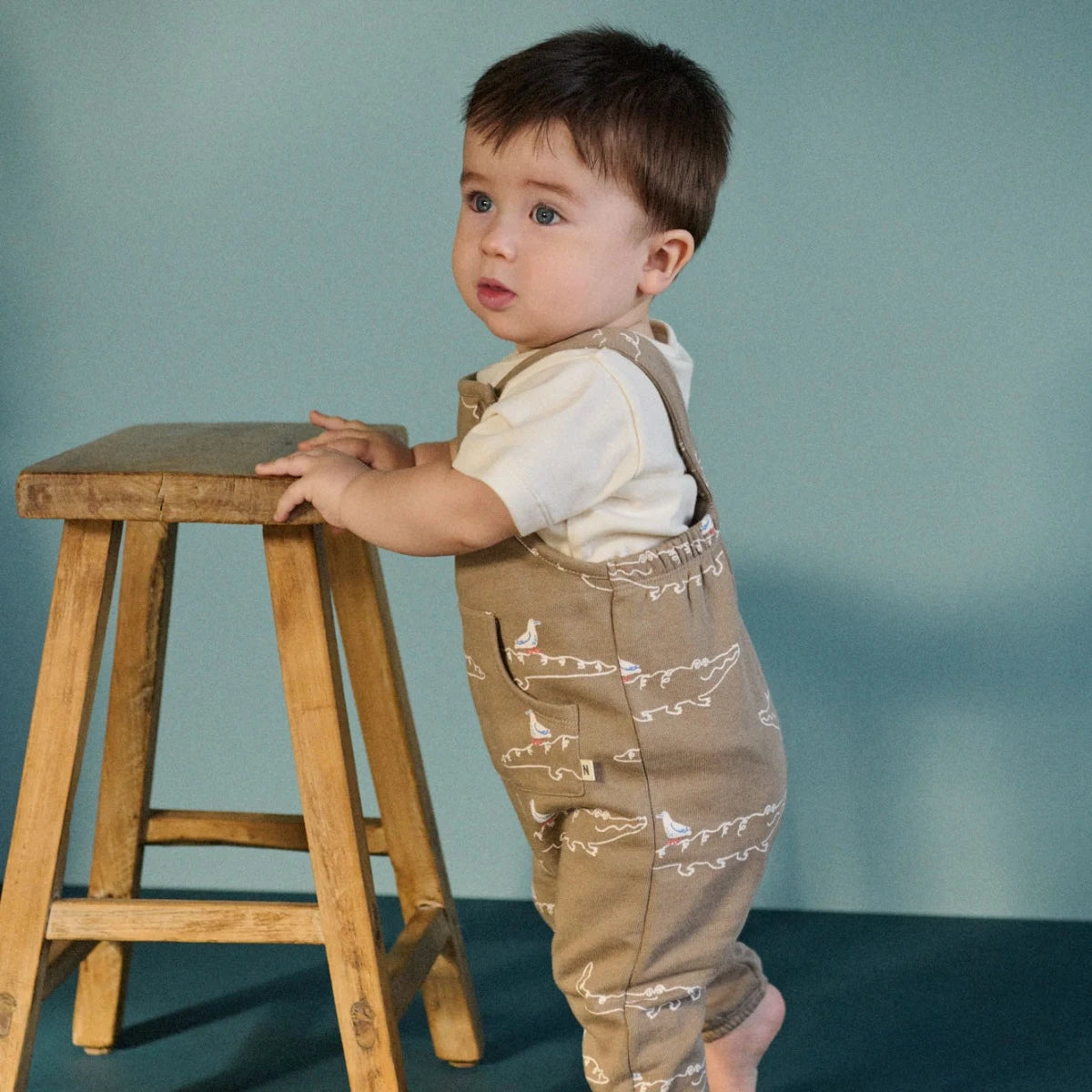 tobi overalls sweatshirting | Nature Baby