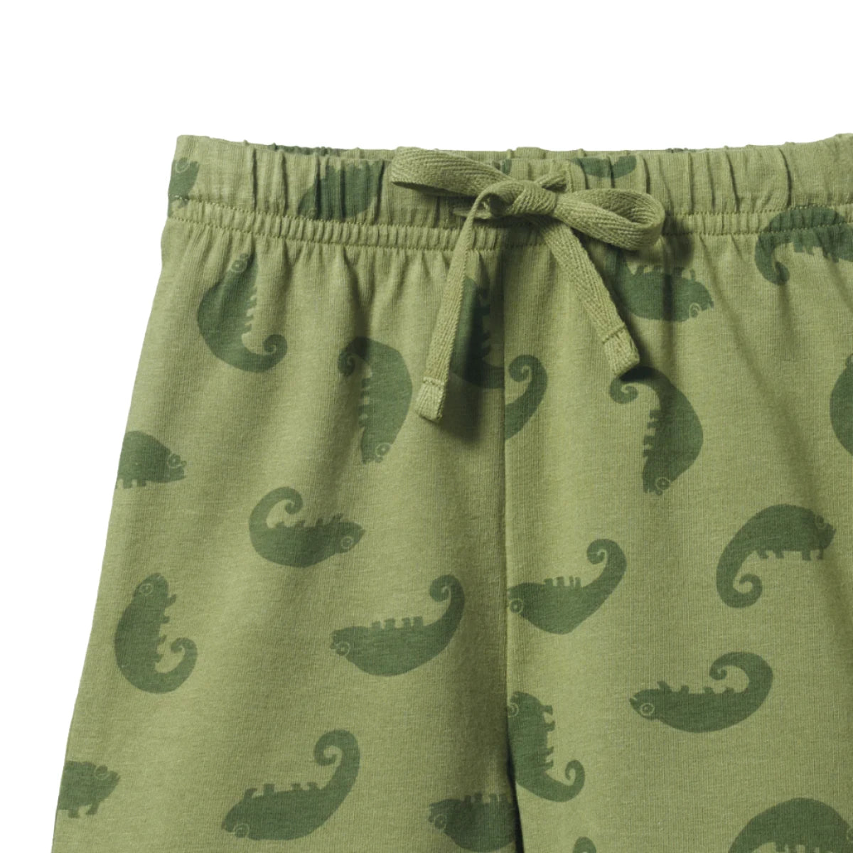 Jimmy Shorts- Chameleon Print | Nature Baby