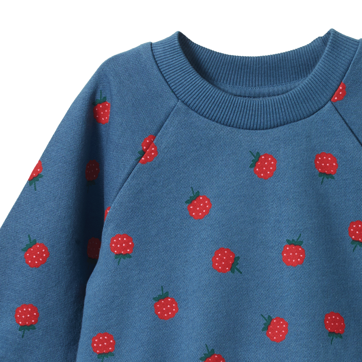 EMERSON SWEATER Raspberry Blue Print | Nature Baby