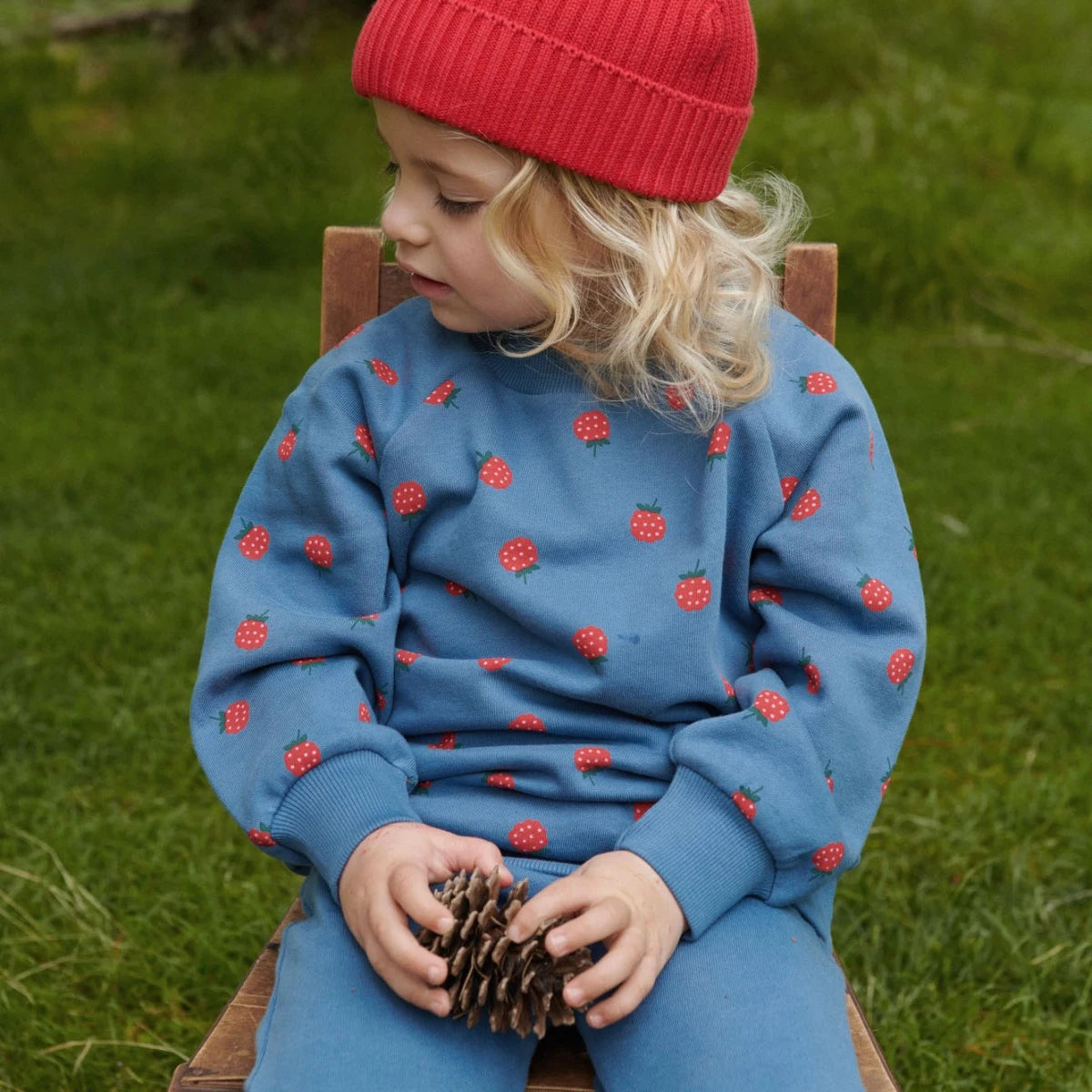 EMERSON SWEATER Raspberry Blue Print | Nature Baby