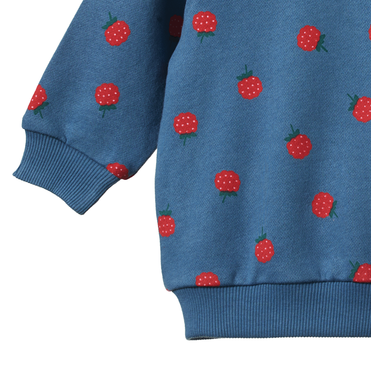 EMERSON SWEATER Raspberry Blue Print | Nature Baby