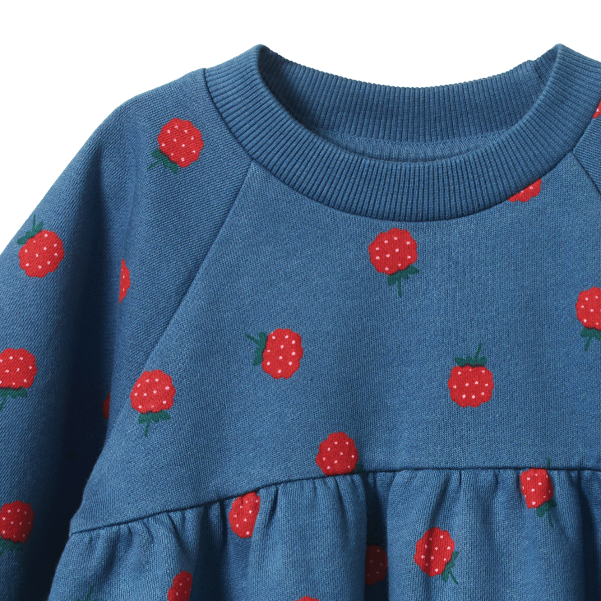 INES DRESS Raspberry Blue Print | Nature Baby