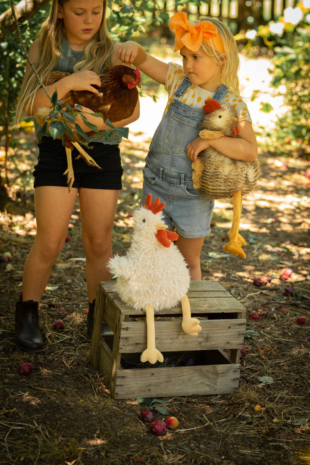 Roy the Rooster | Nana Huchy