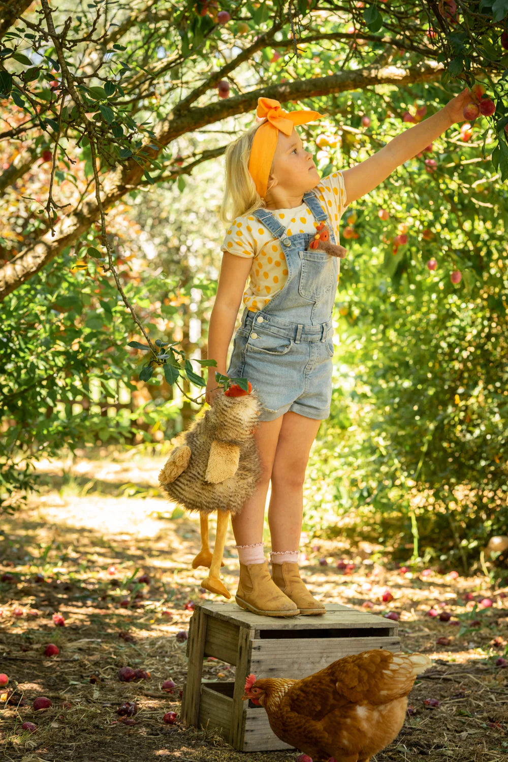 Rupert the Rooster | Nana Huchy