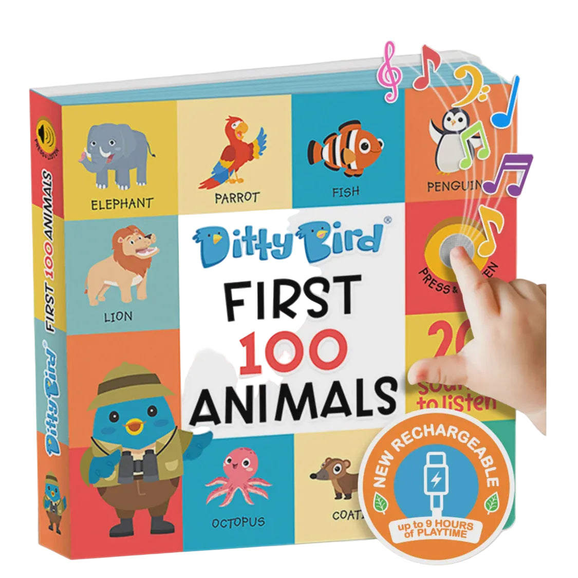 First 100 Animals Multi-Coloured | Ditty Bird