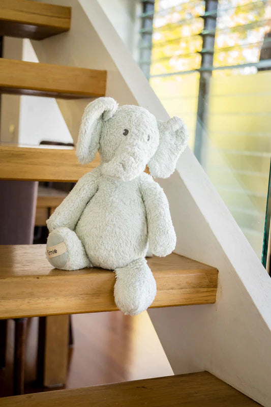 Ernie the Elephant Organic Toy | Tikiri