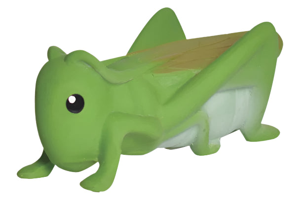 Garden Friends || Grasshopper| Tikiri
