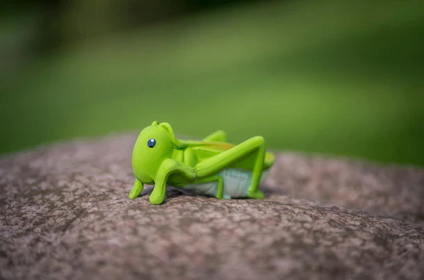 Garden Friends || Grasshopper| Tikiri