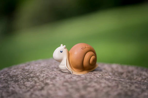 Garden Friends || Snail | Tikiri